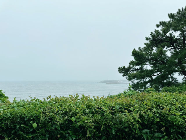 💚🍀 초록색 천연잔디가 맑은 서복공원 