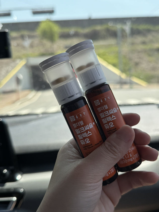 🏞️ 삼악산 & 춘천 여행기  “삼악산 케이블카 타고, 춘천 메밀국수 한 그릇! 감성 하루여행”