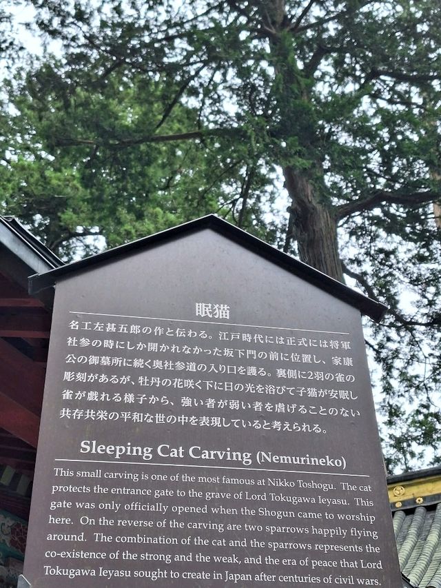 Unravelling the sacred animals inside the Toshogu Shrine