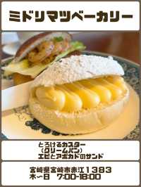 【宮崎】宮崎で食べた満足モーニング＆ブランチ６選