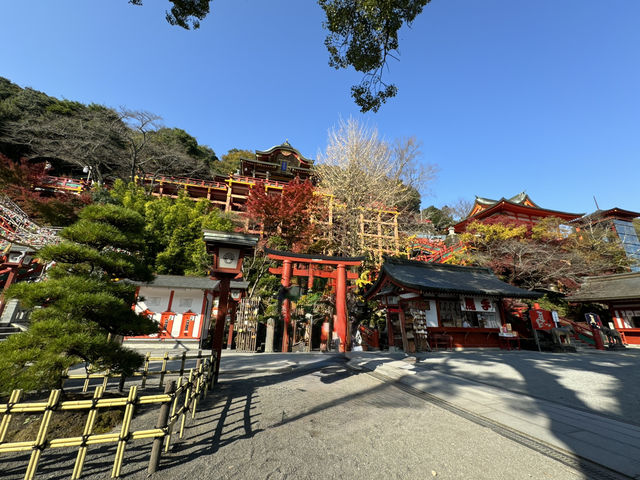 ⛩️ Finding Peace and Beauty at Yūtoku Inari Shrine