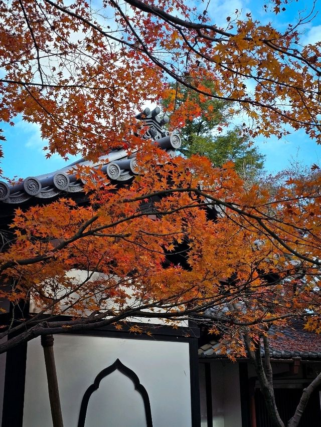 Gotokuji Temple วัดแมวกวัก