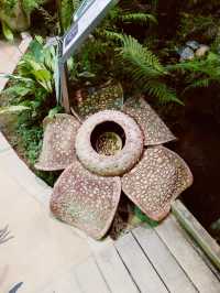 Shibuya Fureai Botanical Center
