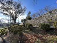 🏞️ Strolling Through History – Morioka Castle Site Park (Iwate Park)