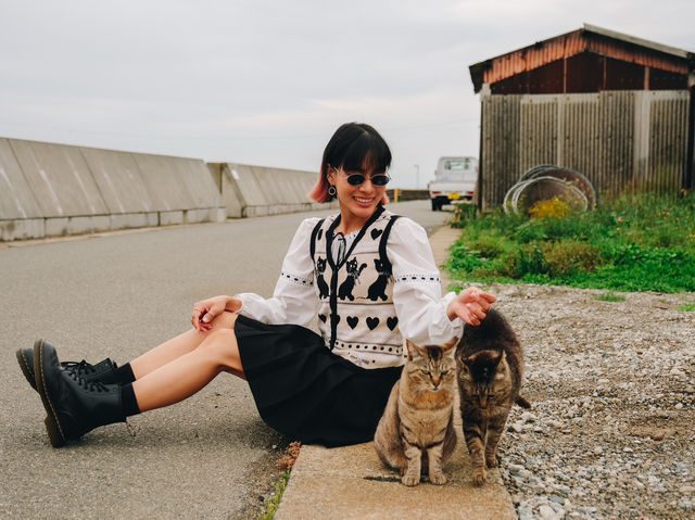 เราจะพาไปเกาะที่มีประชากรแมวมากกว่าร้อยตัว🐈