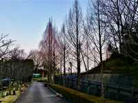 青山花園度假村酒店 GARDEN RESORT HOTEL ROSA BLANCA 住ㄧ晚