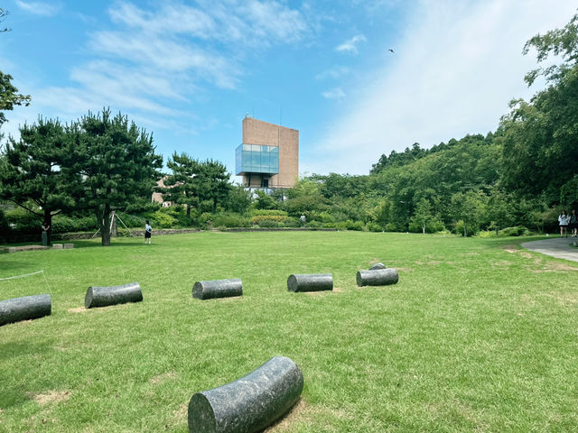 😎 여름 날의 🫖 오설록 티뮤지엄 그리고 수국