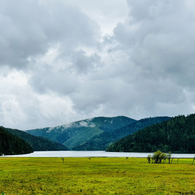 Find tranquility trekking through nature’s beauty