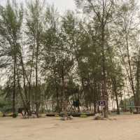 🌴Kalima Resort & Villas Khao Lak ที่พักริมทะเล