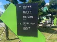Skyline Luge Busan: The Perfect Blend of Speed and Fun! 🎢🏎️