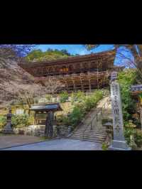 【書写山圓教寺】静寂と荘厳が包む、心を整える山寺旅🧘‍♀️✨