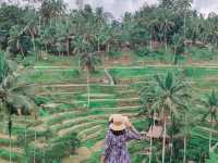 Green Paradise - Tegallalang Rice Terraces, Bali 🌾📸
