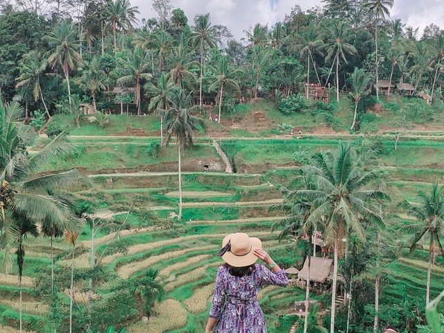 Green Paradise - Tegallalang Rice Terraces, Bali 🌾📸