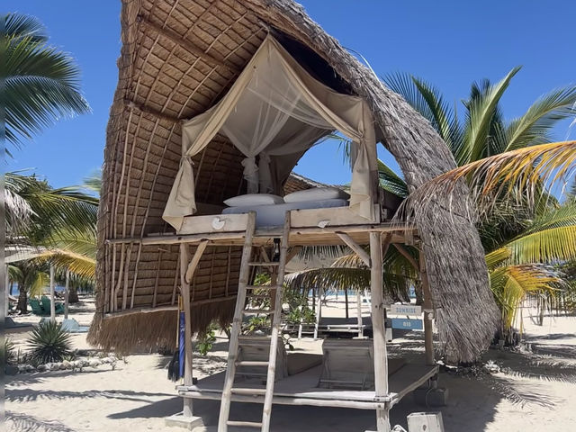 My Dream Treehouse Island Getaway at Le Pirate Island, Komodo! 🌴🌊