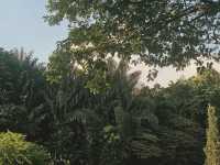 My Hike to Faber Point: A Refreshing Singaporean Discovery! 🇸🇬🚶‍♀️