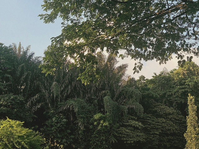 My Hike to Faber Point: A Refreshing Singaporean Discovery! 🇸🇬🚶‍♀️