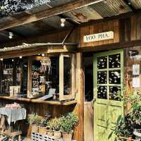 🌲 Yoo Pha – อยู่ป่า แต่ไม่โดดเดี่ยว  