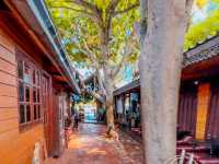 Binlar Guesthouse อยุธยา