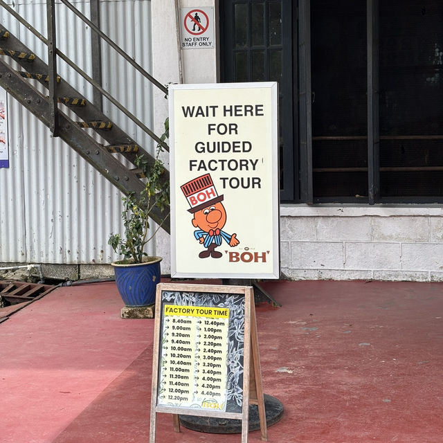 unique experience in a tea plantation & less crowd too!