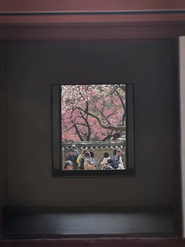 【景福宮 / 경복궁】