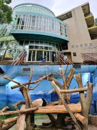 Exploring Taipei Zoo: A Journey Through Asia’s Premier Wildlife Park