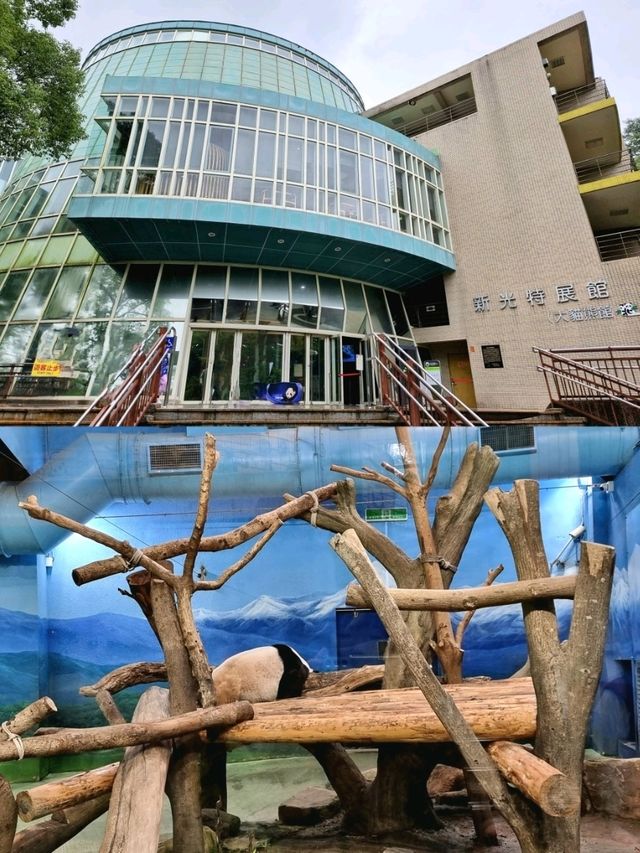Exploring Taipei Zoo: A Journey Through Asia’s Premier Wildlife Park