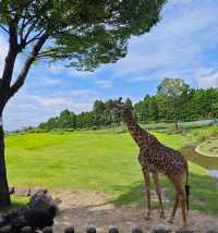  ～濱松市動物園～生命交響曲～