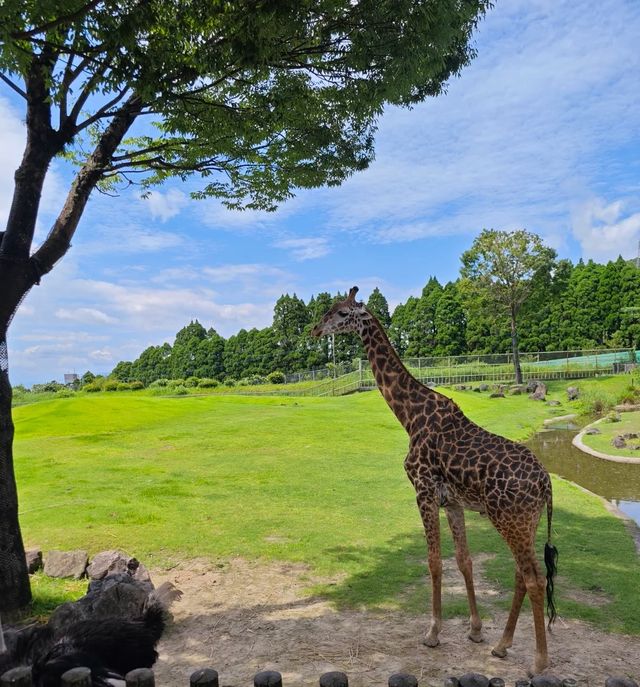  ～濱松市動物園～生命交響曲～