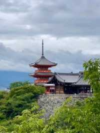 1 Day Trip เกียวโต เสน่ห์เมืองเก่า