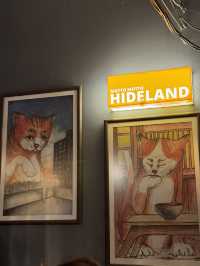 ⭐️รีวิวอิซากายะเชียงใหม่ ร้าน HIDELAND.cnx 