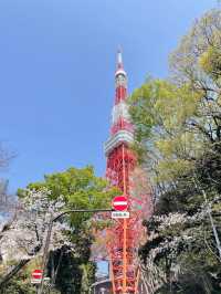 Tokyo tower japan