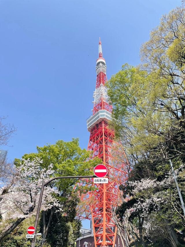 Tokyo tower japan