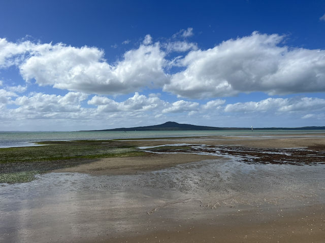 🏖 St Heliers Bay｜奧克蘭人私藏的靜謐海灣散步路線 