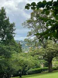 Hedgemead Park