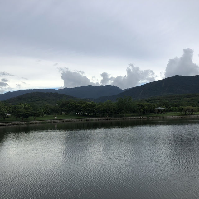 台東池上伯朗大道