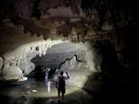 紐西蘭旅遊景點—✨ Waipu Cave｜免費看到螢火蟲的秘境洞穴 