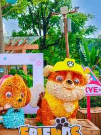 💦🌴 Forest Sea Water Park Zengcheng 