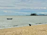 หาดกระทิงลาย จ.ชลบุรี