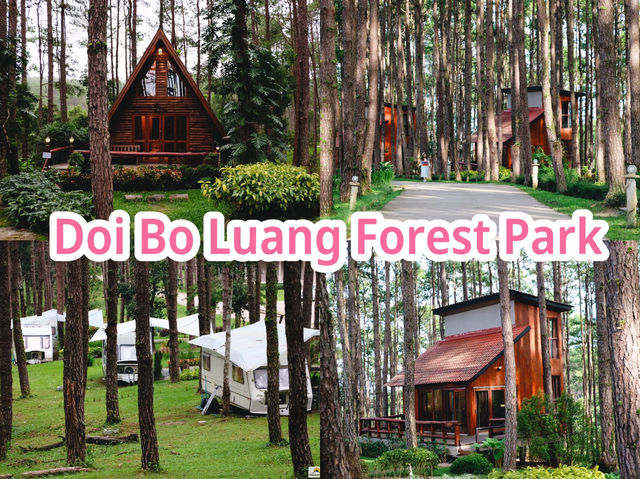 Doi Bo Luang Forest Park