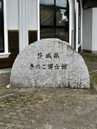 【きのこ博士館】