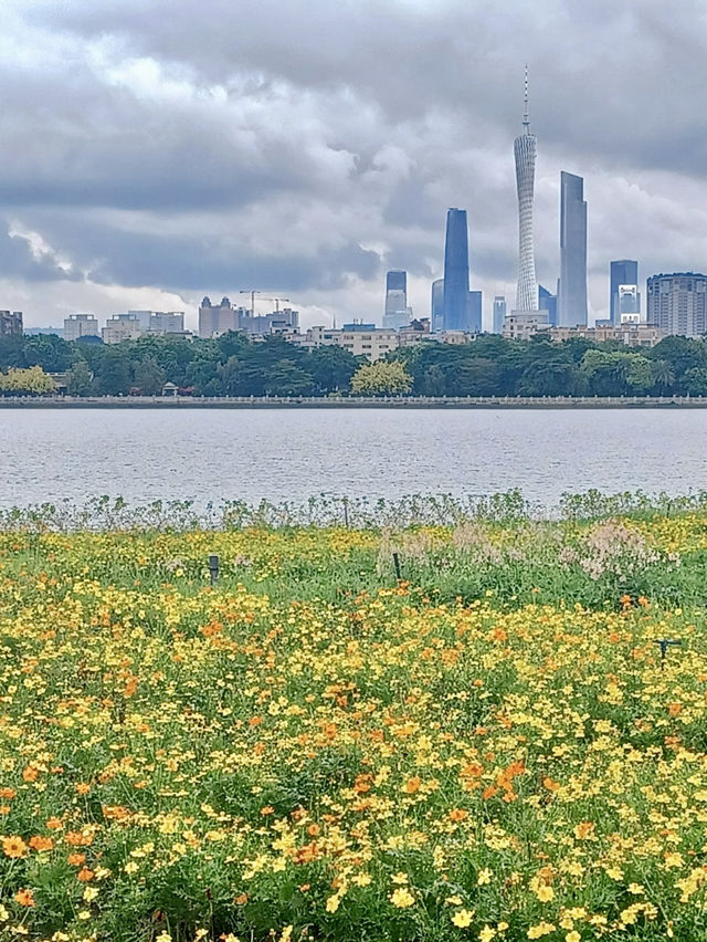 Urban Zen on Water: Paddleboarding at Haizhu Lake Park 🌆🧘‍♀️