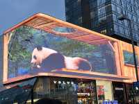 🛍️✨ Chengdu Taikoo Li 太古里 | Where Tradition Meets Trend