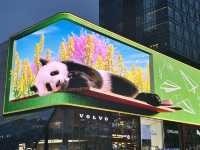 🛍️✨ Chengdu Taikoo Li 太古里 | Where Tradition Meets Trend