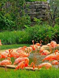 Splash into colors at Crimson Wetlands!
