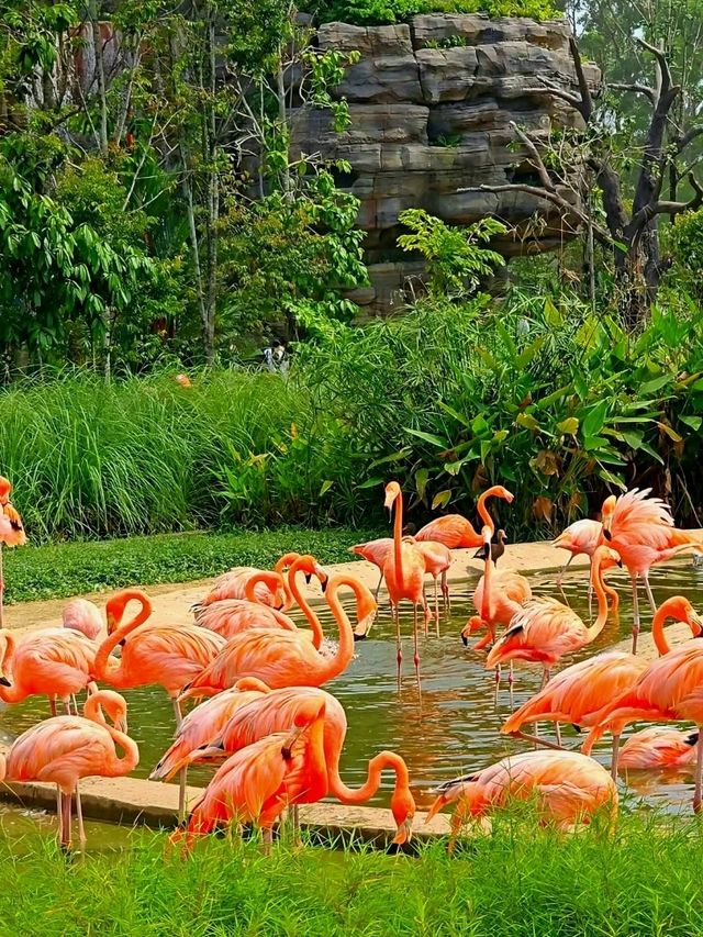 Splash into colors at Crimson Wetlands!