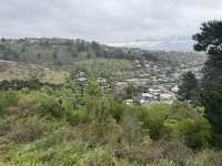 Stunning views of Lyttelton Harbour, the volcanic peaks and ridges of Banks Peninsula