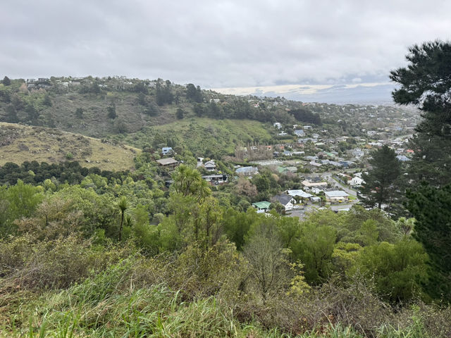 Stunning views of Lyttelton Harbour, the volcanic peaks and ridges of Banks Peninsula