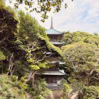 🌊 Solo Escape: Enoshima Day Trip – Beyond the Tourist Trail