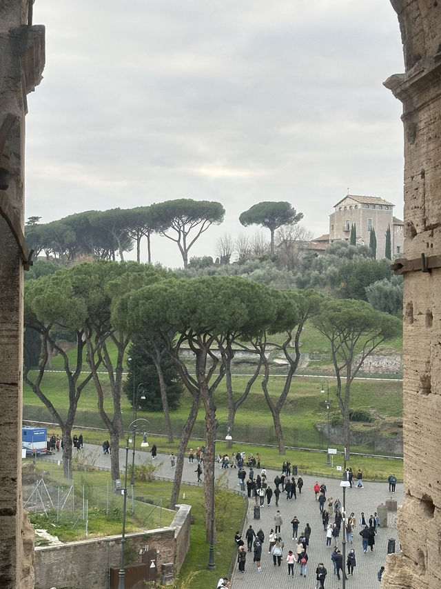 The Colosseum: Rome’s Arena Of Glory And Blood