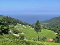 日本海側既靜土 有山有海 悠閑渡假